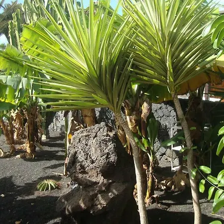 Дом отдыха Las Palmeras *