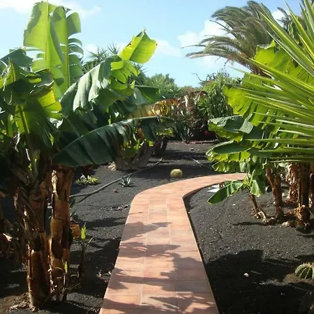Las Palmeras Vakantiehuis *